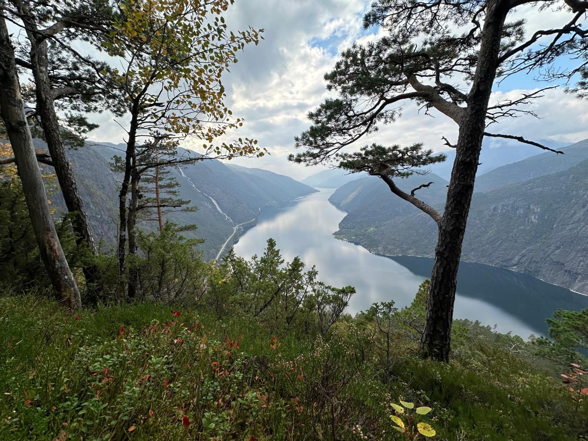 Akrafjorden Nature B&B As Fjæra Extérieur photo