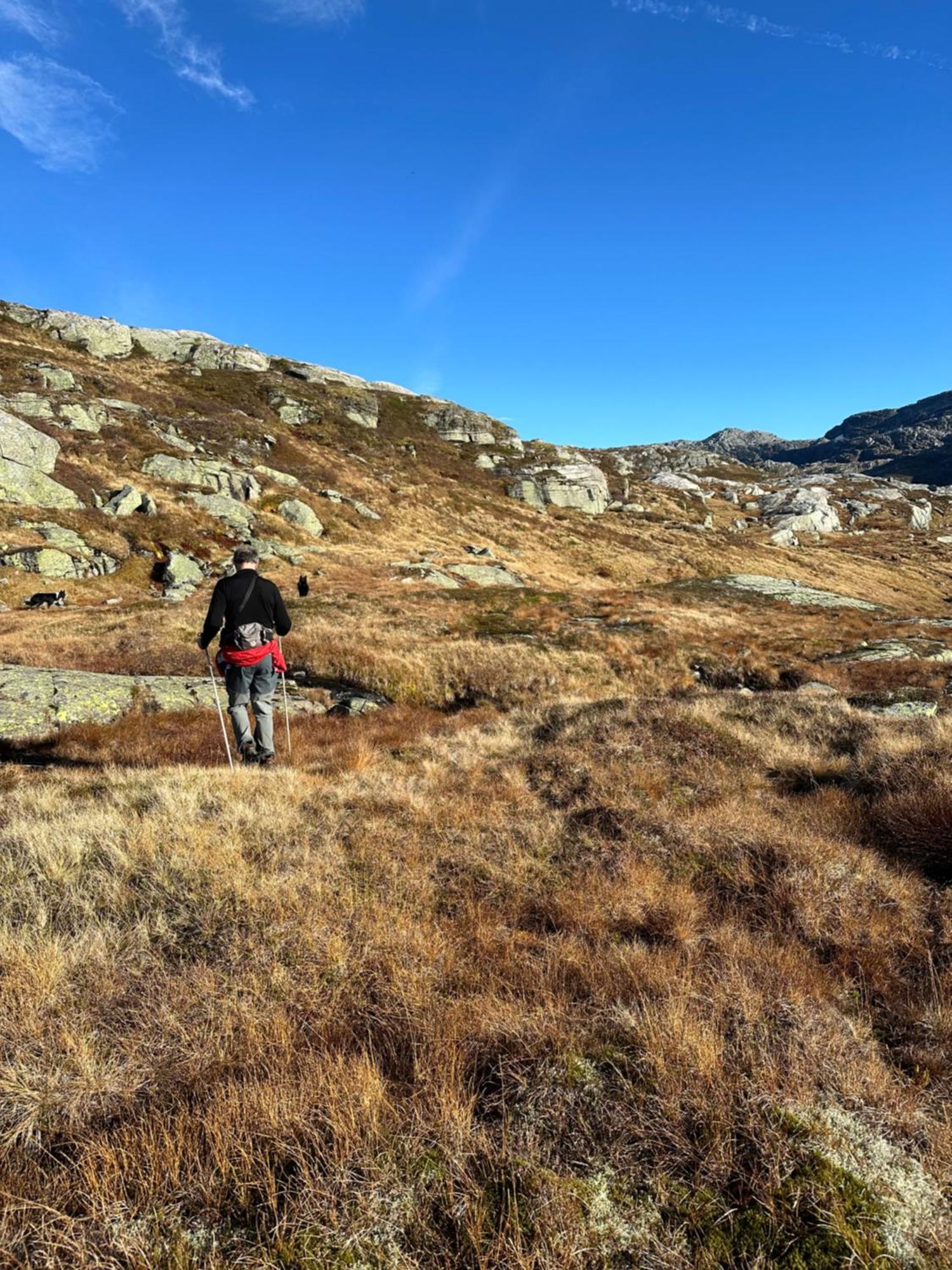 Akrafjorden Nature B&B As Fjæra Extérieur photo